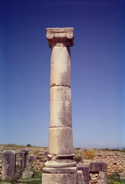 Colonna Ionica sul Decumanus Maximus da Roman